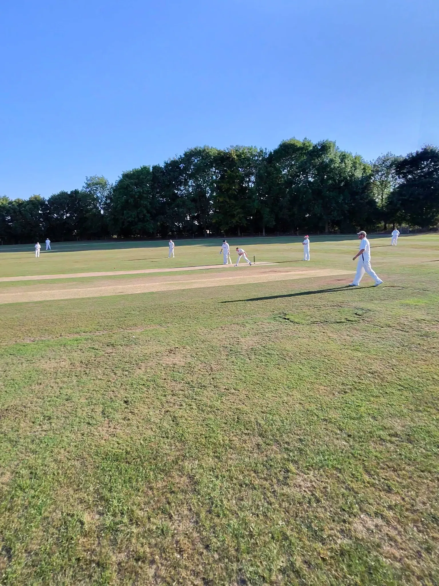 Cricket at Lindsell